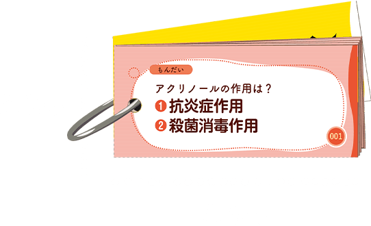 縦3.7cm横8.9cm